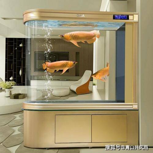 鱼缸摆放位置风水
