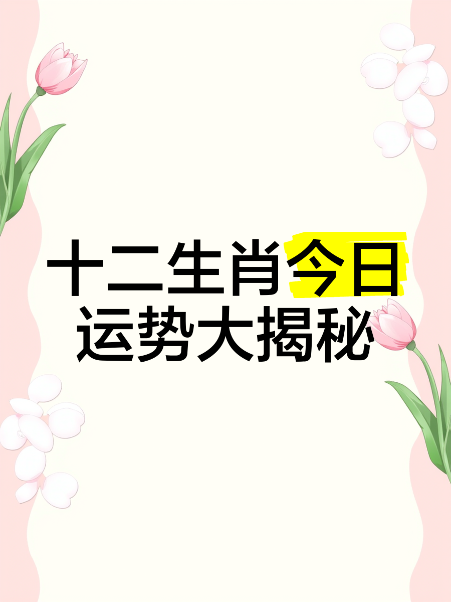 今日生肖运势