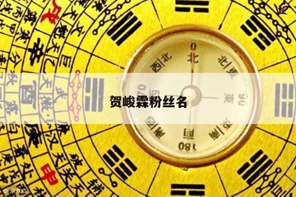 贺峻霖粉丝名
