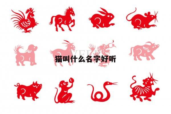 猫叫什么名字好听