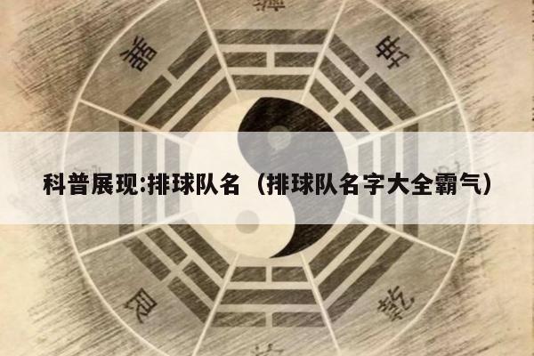 科普展现:排球队名（排球队名字大全霸气）