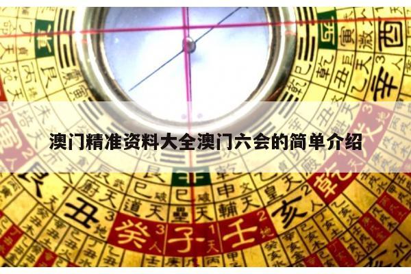 澳门精准资料大全澳门六会的简单介绍