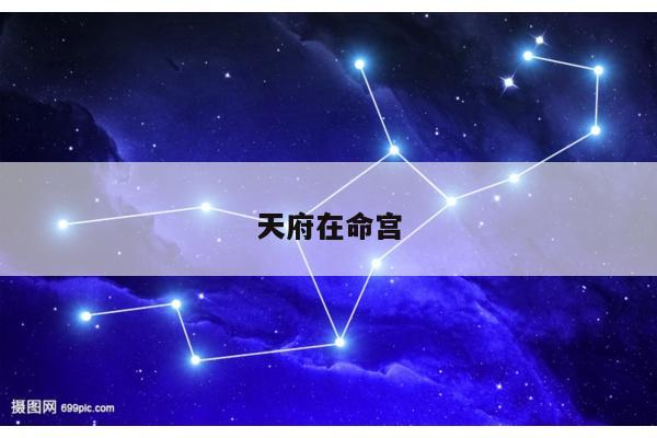 天府在命宫