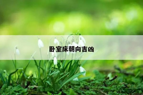 卧室床朝向吉凶