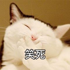 精装难兄难弟笑死了,精装难兄难弟笑死了表情包
