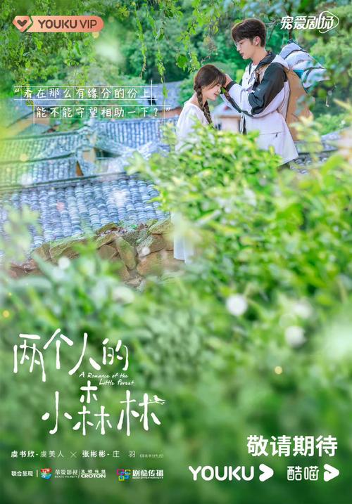 《两个人的小森林》免费高清完整版,《两个人的小森林》免费高清完整版在线观看