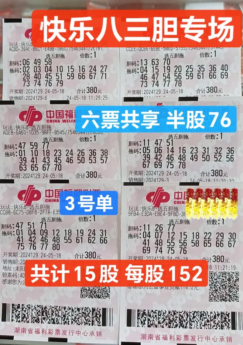 真正四肖12码必中,四肖四码 必