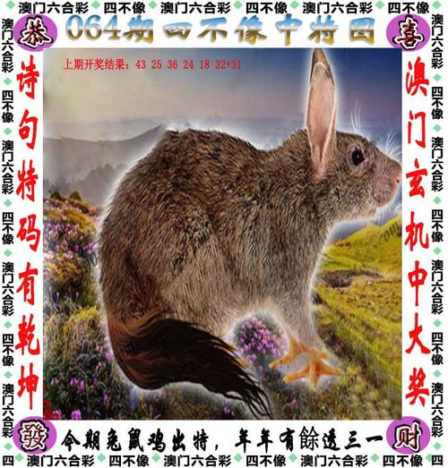 13262cc澳门资料,123696.澳门　资料大全