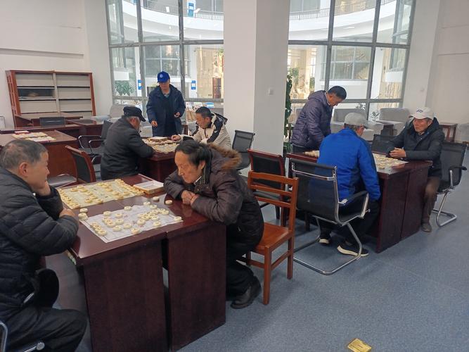 竞技体育的价值,竞技体育的价值和功能多元化体现在哪些方面
