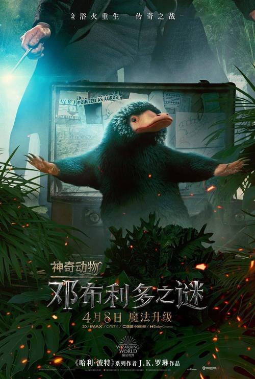神奇动物在哪里,神奇动物在哪里3邓布利多之谜