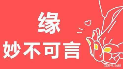 缘,妙不可言下一句,缘妙不可言下一句怎么接