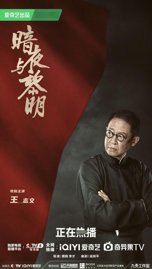 最新谍战暗夜与黎明在线观看,最新谍战暗夜与黎明在线观看电影