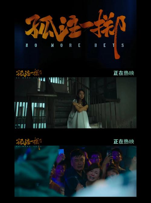 电影网孤注一掷,电影网孤注一掷在线观看