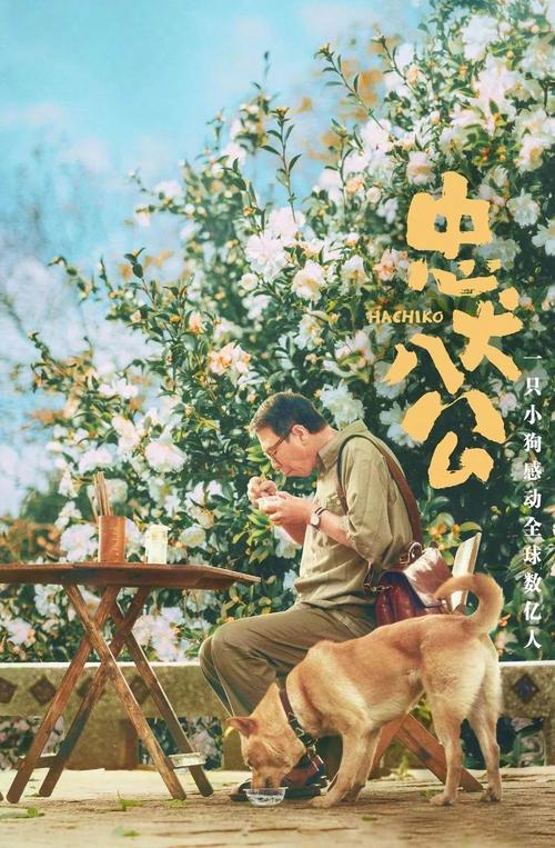 1905年电影网,1905年电影网下载